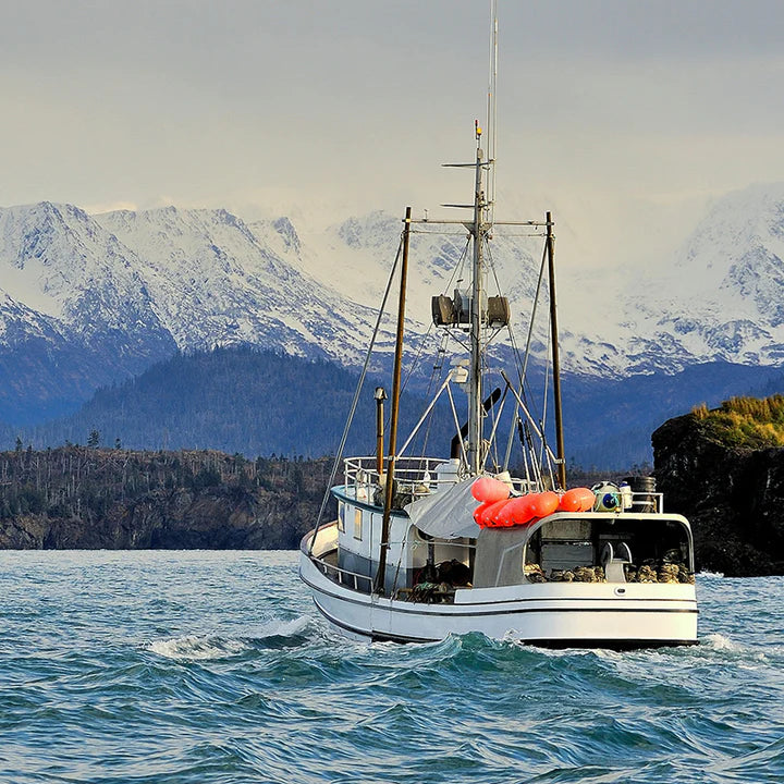 Fishing boat on water with snow-capped mountains in the background